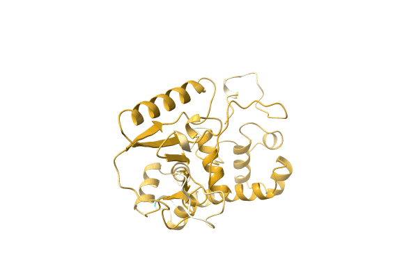 AF-A0A1S5QWV0-F1 image