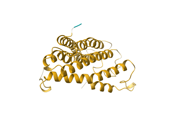 AF-A0A1S5RKL2-F1 image