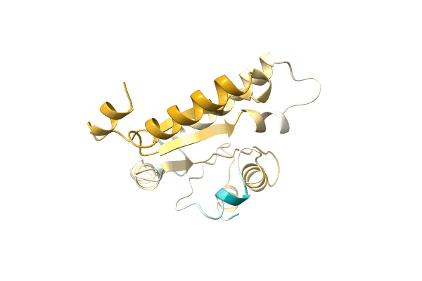 AF-A0A1S5WVB7-F1 image