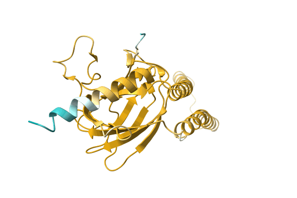 AF-A0A1S6ENK7-F1 image