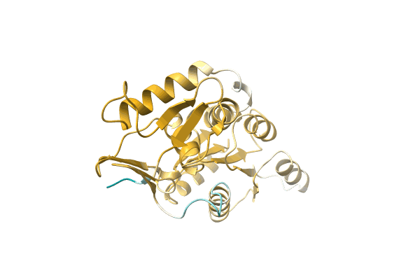 AF-A0A1S6EYM0-F1 image