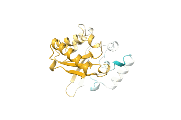 AF-A0A1S6PZ36-F1 image