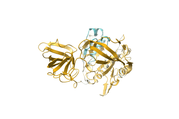 AF-A0A1S6Q1C0-F1 image