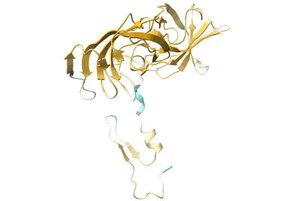 AF-A0A1S6Q1E4-F1 image