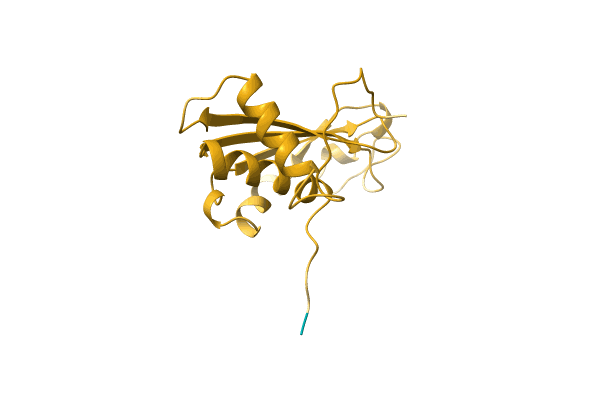 AF-A0A1S6Q1E6-F1 image