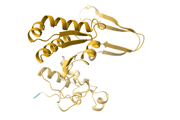 AF-A0A1S6Q1H0-F1 image