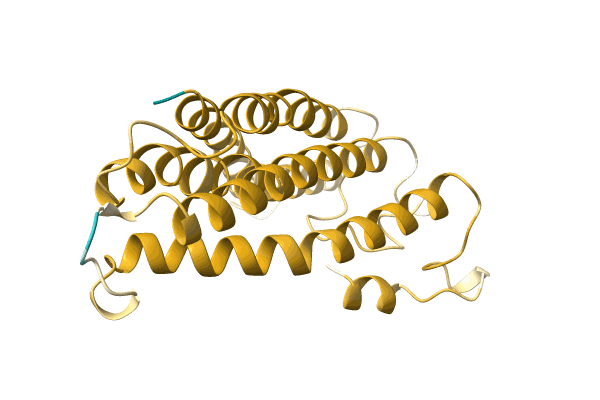 AF-A0A1S6R053-F1 image