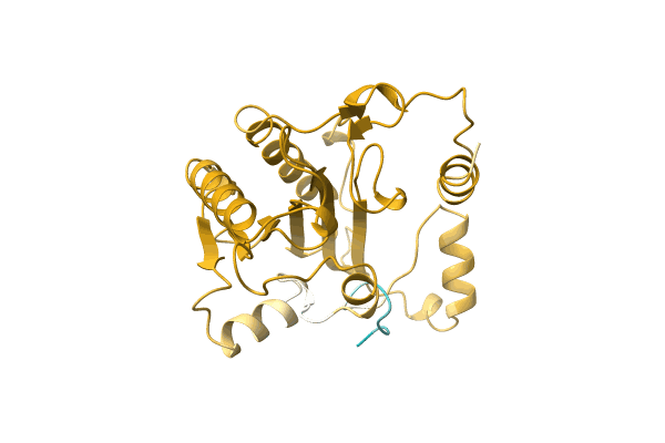 AF-A0A1S7BHE4-F1 image