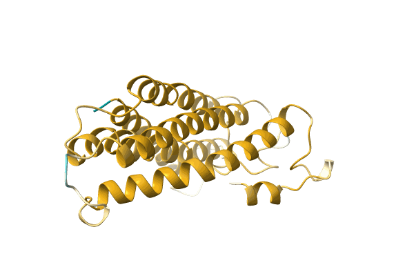 AF-A0A1U9GR65-F1 image