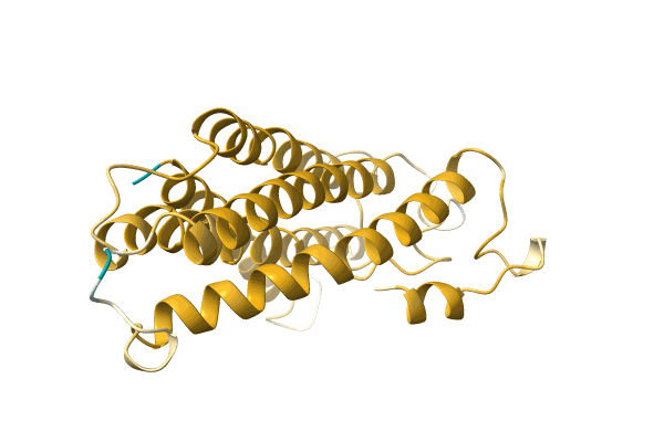 AF-A0A1U9GT48-F1 image