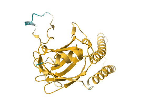 AF-A0A1U9HCT0-F1 image