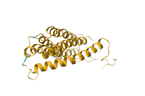 AF-A0A1U9VY04-F1 image