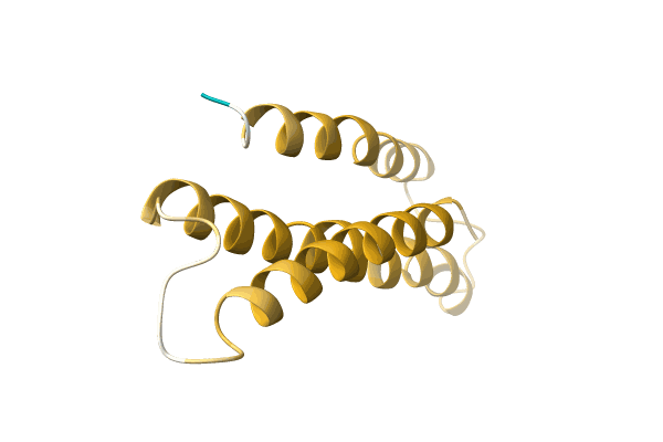 AF-A0A1U9YCE8-F1 image