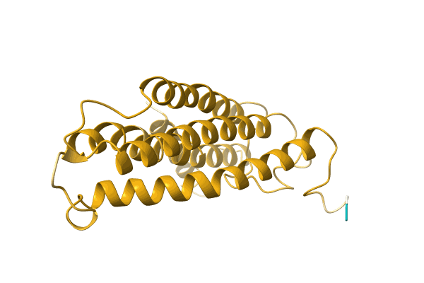 AF-A0A1U9ZC34-F1 image