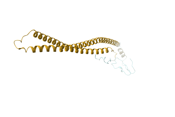 AF-A0A1V0CKG6-F1 image