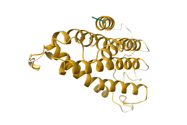 AF-A0A1V0QJQ5-F1 image