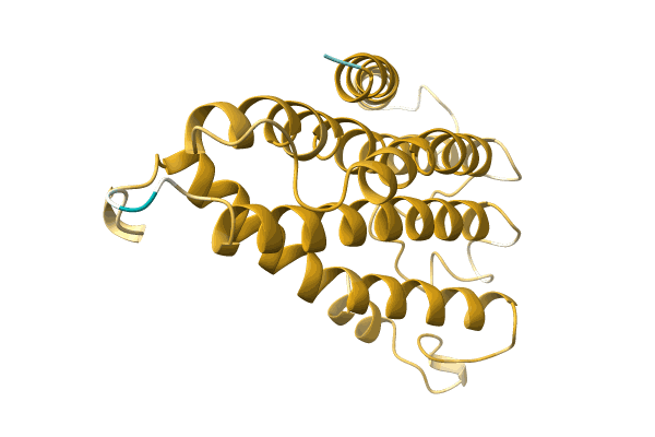 AF-A0A1V0QRD1-F1 image