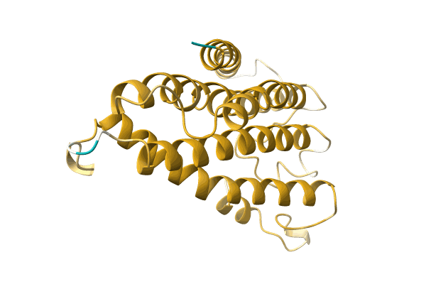 AF-A0A1V0QRN5-F1 image