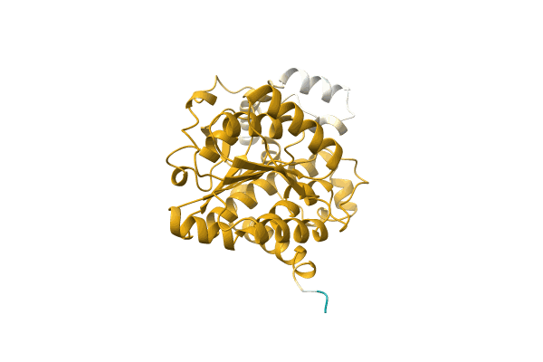AF-A0A1V0QS34-F1 image