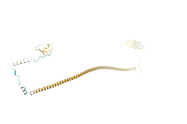 AF-A0A1V5ITE3-F1 image