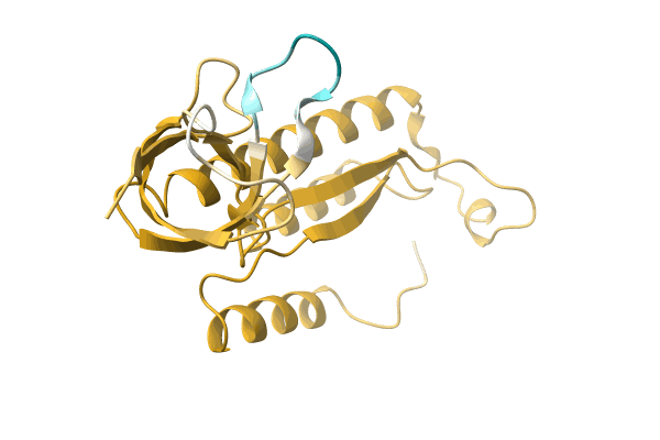 AF-A0A1V5IUU0-F1 image