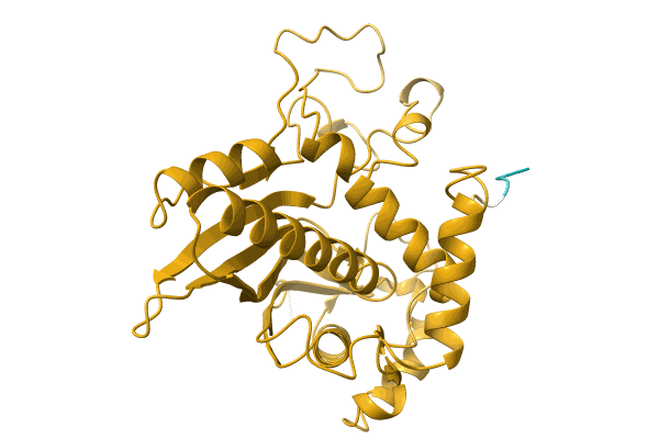 AF-A0A1V5NCS3-F1 image