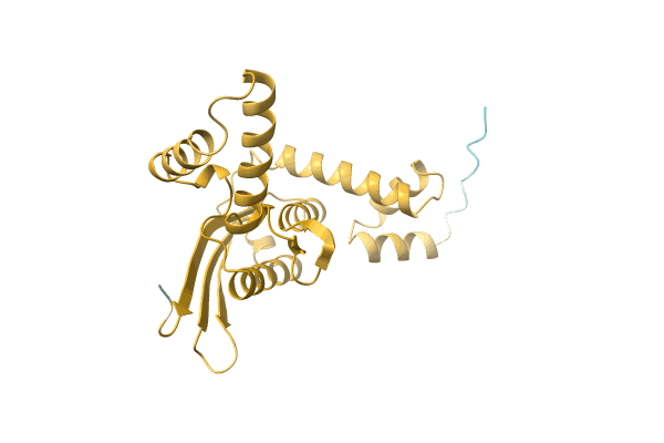 AF-A0A1V5RGP1-F1 image