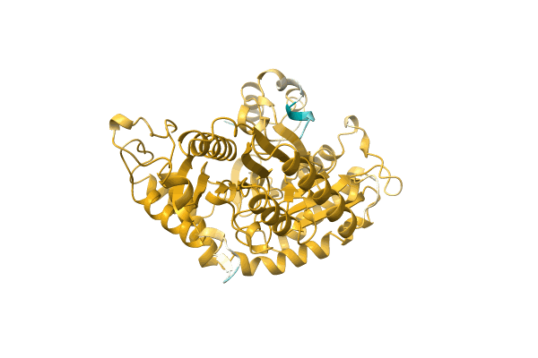 AF-A0A1V5RGZ6-F1 image