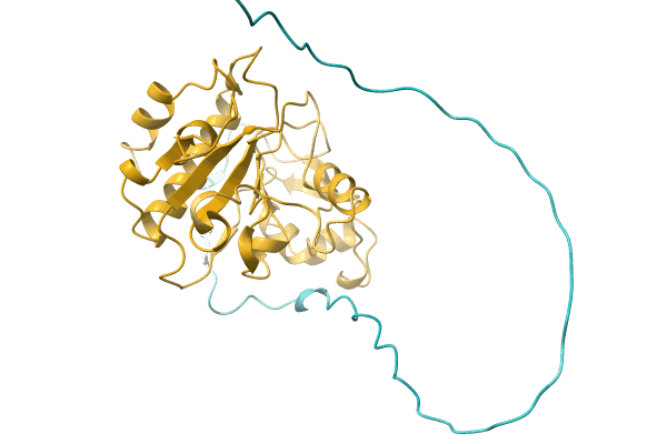 AF-A0A1V5RI58-F1 image