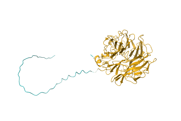 AF-A0A1W2VMZ5-F1 image