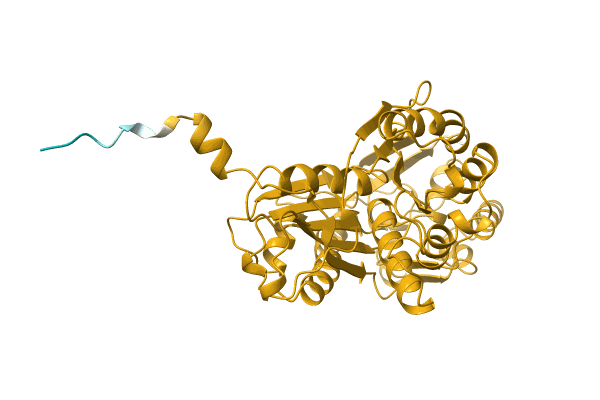 AF-A0A1W5RQK5-F1 image