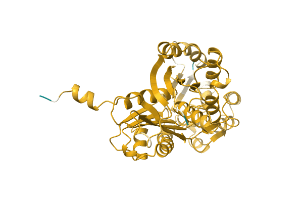 AF-A0A1W5VKG5-F1 image