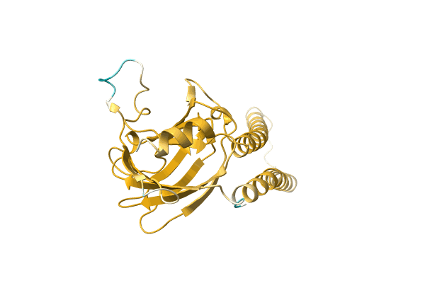 AF-A0A1W5WWV8-F1 image