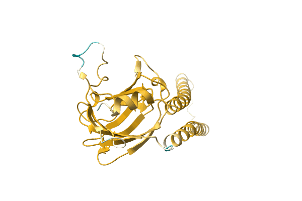 AF-A0A1W5WWY8-F1 image