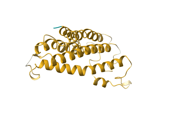 AF-A0A1W6I4A7-F1 image