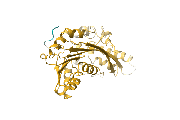 AF-A0A1X9WEP1-F1 image
