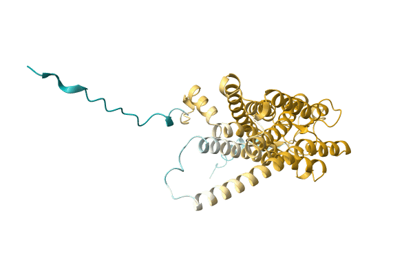 AF-A0A1Y0AYB3-F1 image