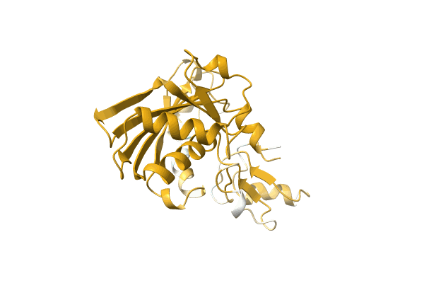 AF-A0A1Y0JZF6-F1 image