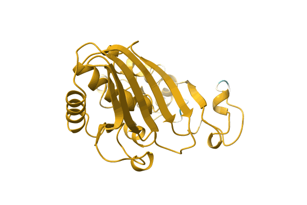 AF-A0A1Y0JZG0-F1 image