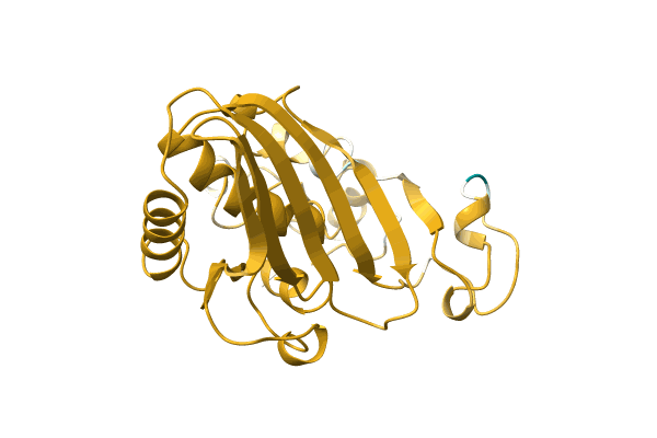 AF-A0A1Y0JZH7-F1 image