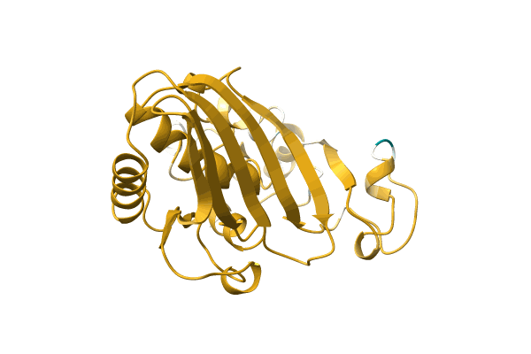 AF-A0A1Y0JZN4-F1 image