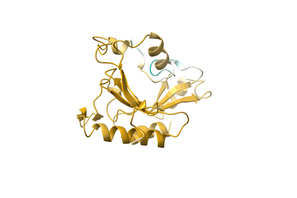 AF-A0A1Y0JZZ5-F1 image