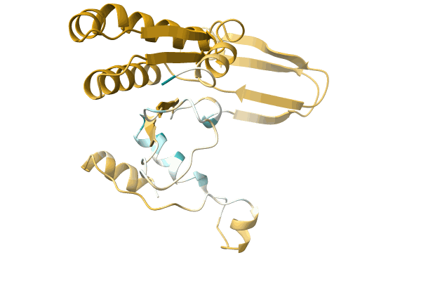 AF-A0A1Y0K0X6-F1 image