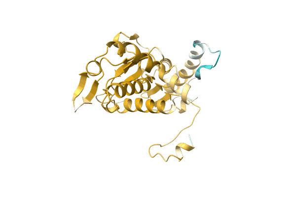 AF-A0A1Y0K1K4-F1 image