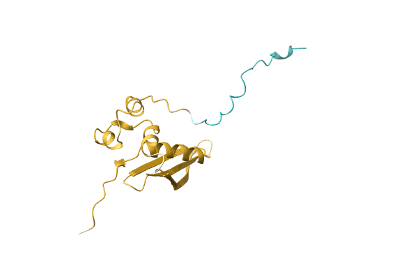 AF-A0A1Y0K243-F1 image