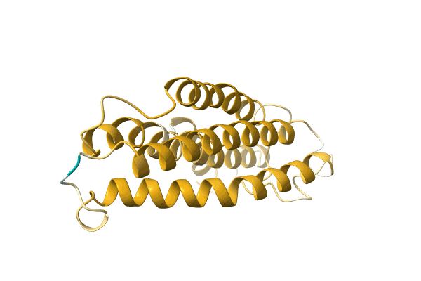 AF-A0A1Z1VYQ4-F1 image