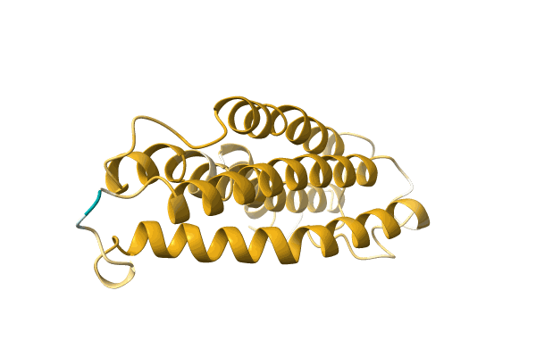 AF-A0A1Z1VYR7-F1 image