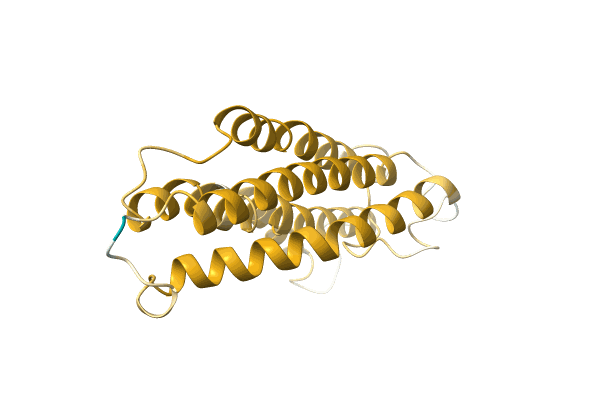 AF-A0A1Z1VYR8-F1 image