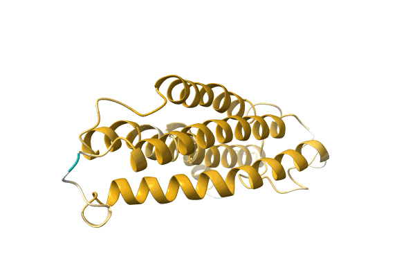 AF-A0A1Z1VYS4-F1 image