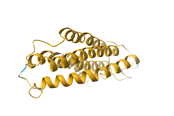 AF-A0A1Z1VYT2-F1 image